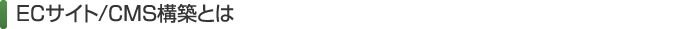ECサイト/CMS構築とは