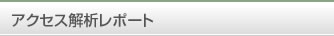 アクセス解析レポート