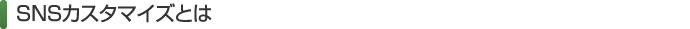 SNSカスタマイズとは