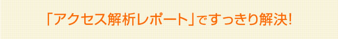 アクセス解析レポートですっきり解決！