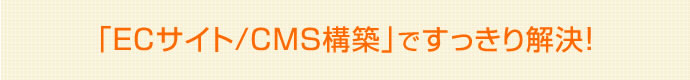 ECサイト/CMS構築ですっきり解決！